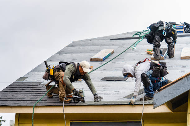 Professional Gutter Installation technician working in New Knoxville, OH